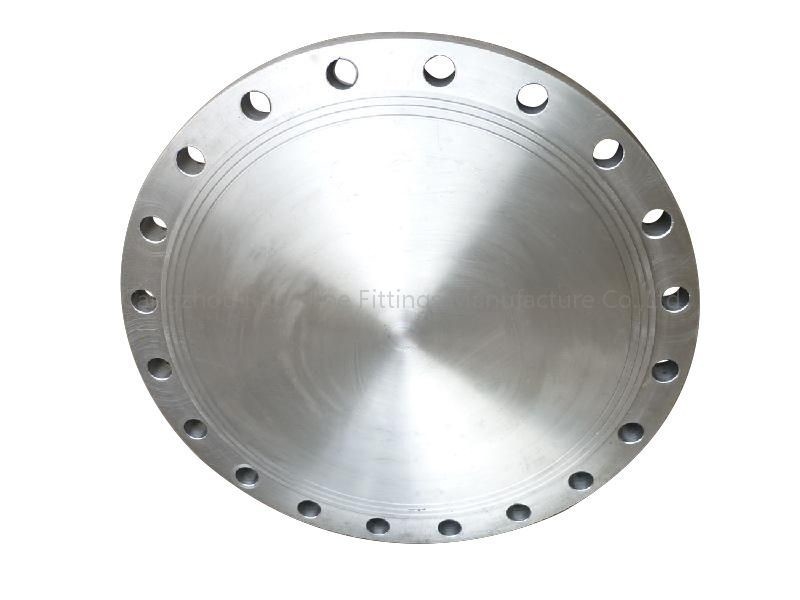 As flanges de aço do STD XS SCH 40 flangeiam forjaram 5K de aço inoxidável ASSIM WN